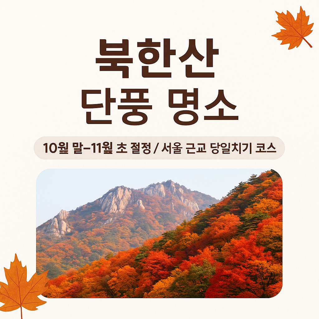 단풍 구경가볼만한곳