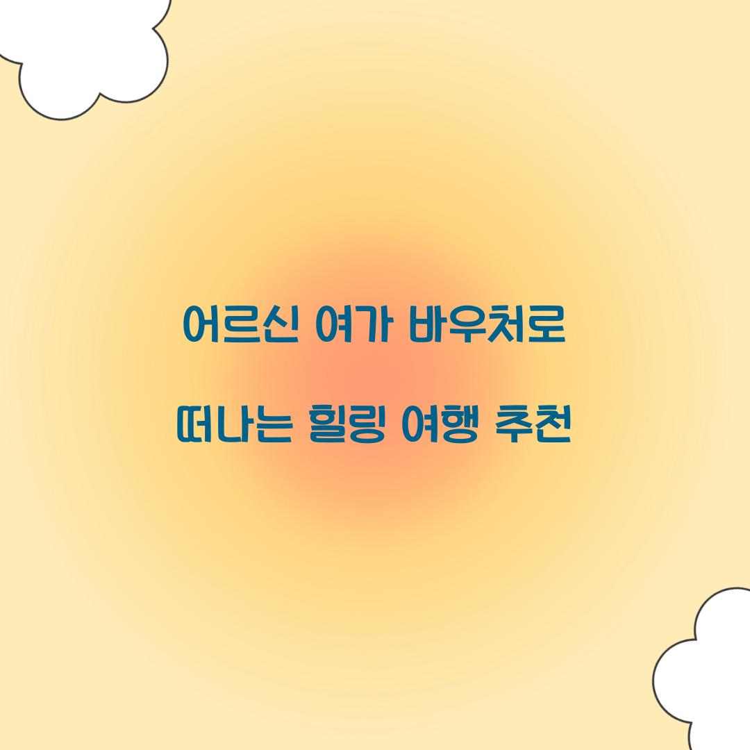 어르신 여가 바우처