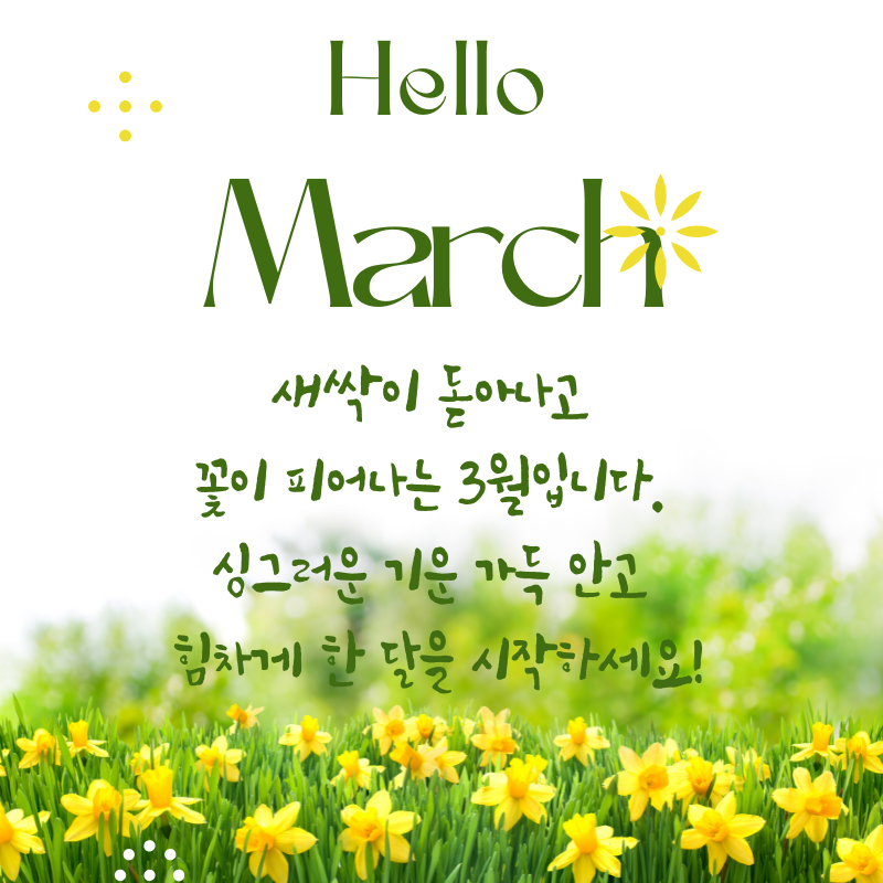 3월 인사말 문구 이미지 모음집