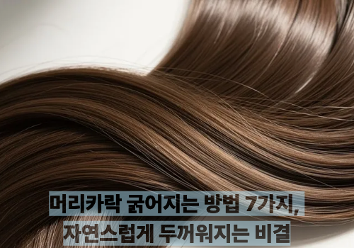 머리카락 굵어지는 방법 7가지, 자연스럽게 두꺼워지는 비결