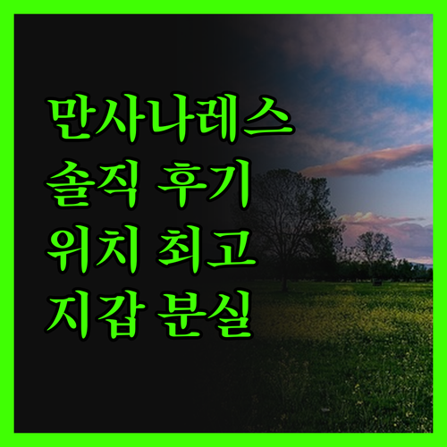 만사나레스 파라도르 솔직 후기 위치,