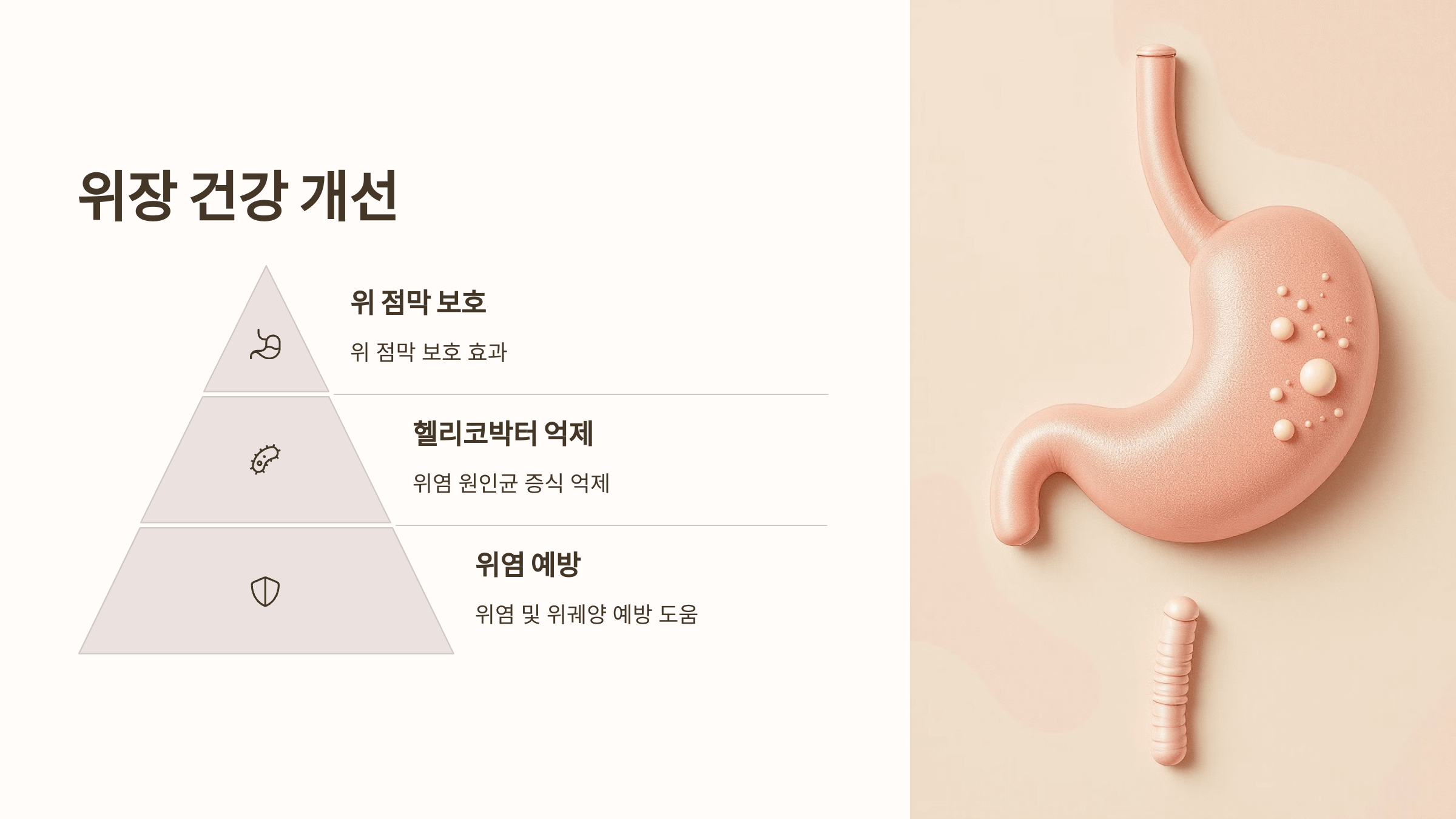 프로폴리스와 관련된 사진입니다.