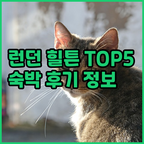 런던 여행 필수 힐튼 호텔 TOP5