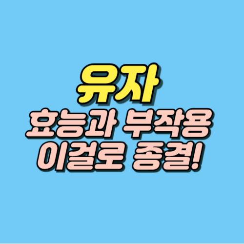 유자 효능 부작용