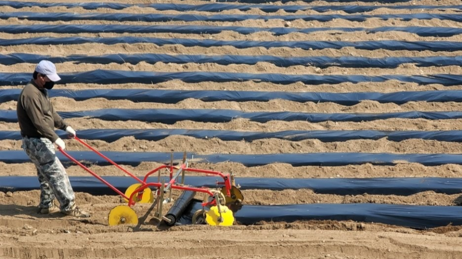 농신보 담보대출 자격