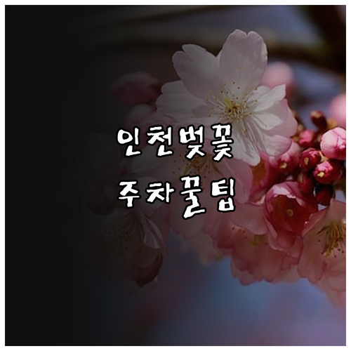 2026년 인천 서구 벚꽃 나들이 정..