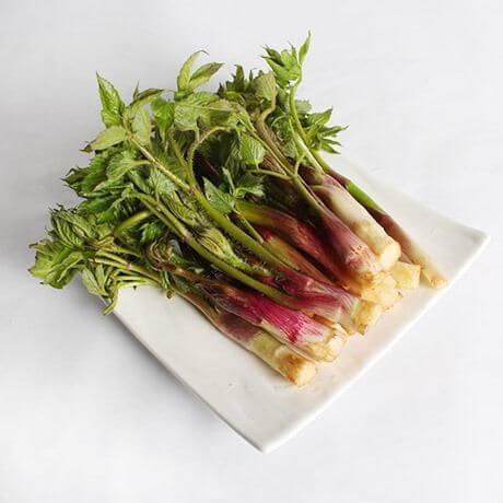 4월 제철 음식 추천