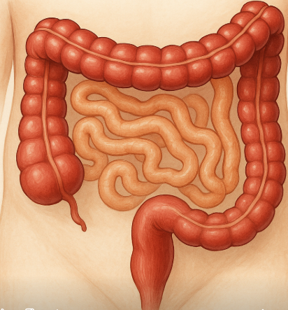 대장 소장의 모습