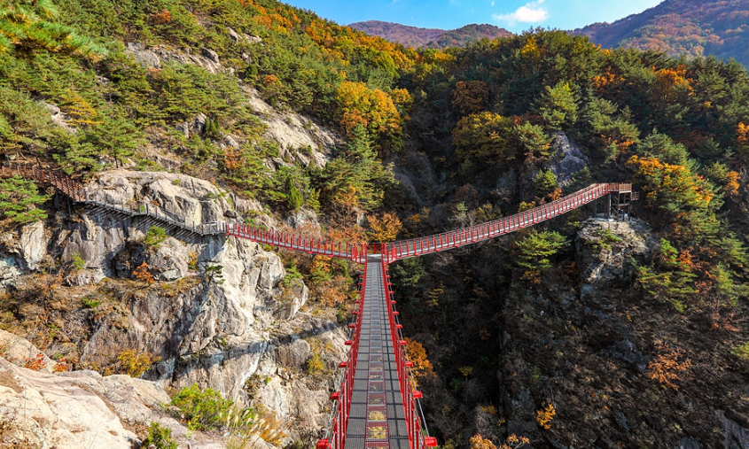 Y자형 출렁다리