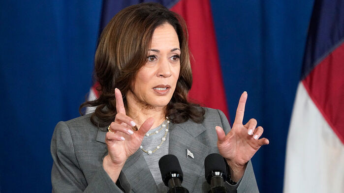 바이든 사퇴하면 민주당의 새로운 후보는 누구