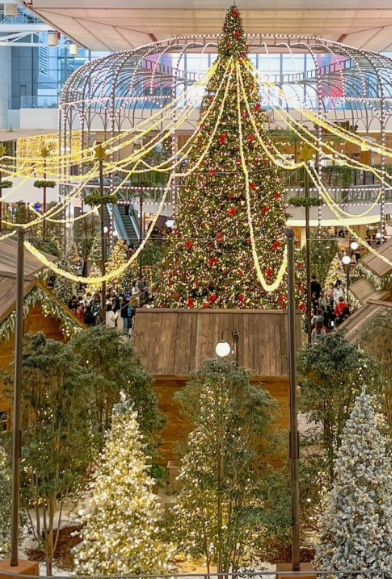 더현대 크리스마스빌리지 현장웨이팅