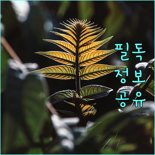 피부 타입별 리프팅 시술: 효과적인