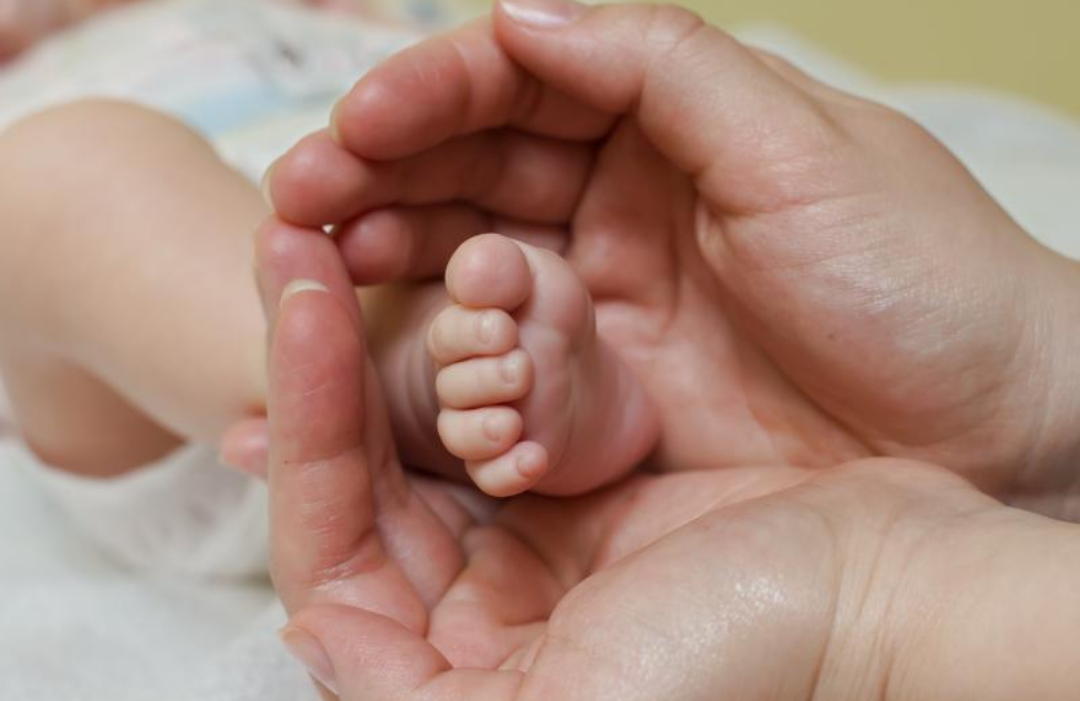 어른의 양손이 신생아의 발을 감싸고 있다.