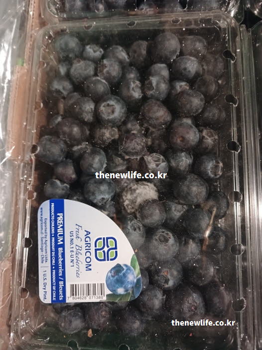 블루베리 효능을 요리로 활용하며 영양 가치 실사진