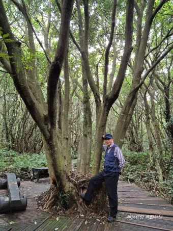 제주 곶자왈 숲길 산책 원시림 초록 힐링 여행_4