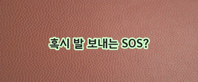 발저림 원인을 알아보고 꼭 관리하세요!