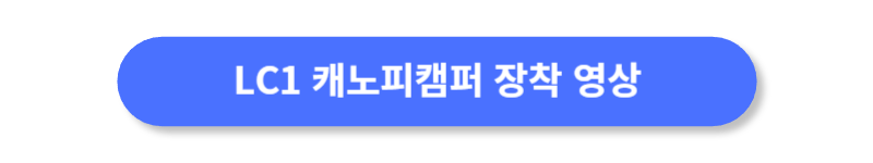 버튼
