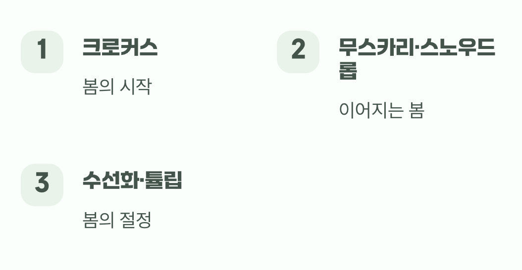 또 다른 봄의 친구&amp;#44; 다른 구근들