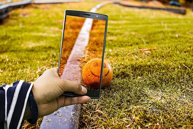 로봇과 자동화 시스템이 이끄는 미래 도시 농업