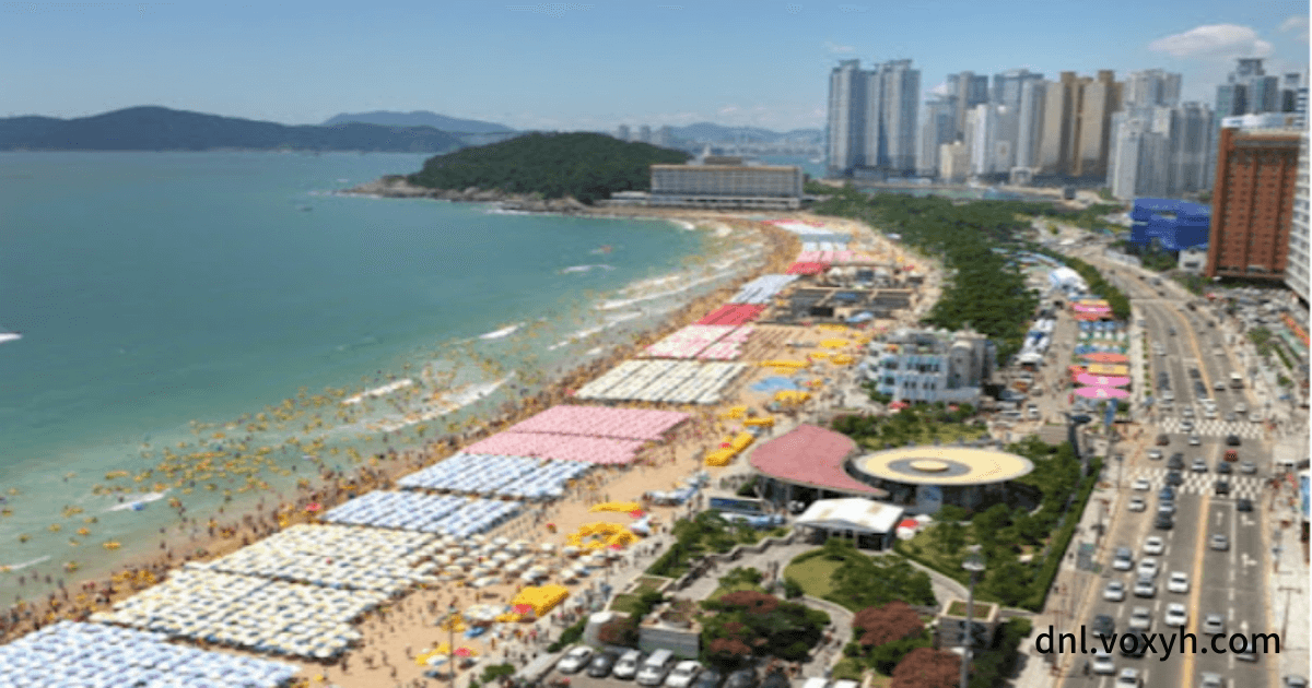 부산의 해운대 여름 전경