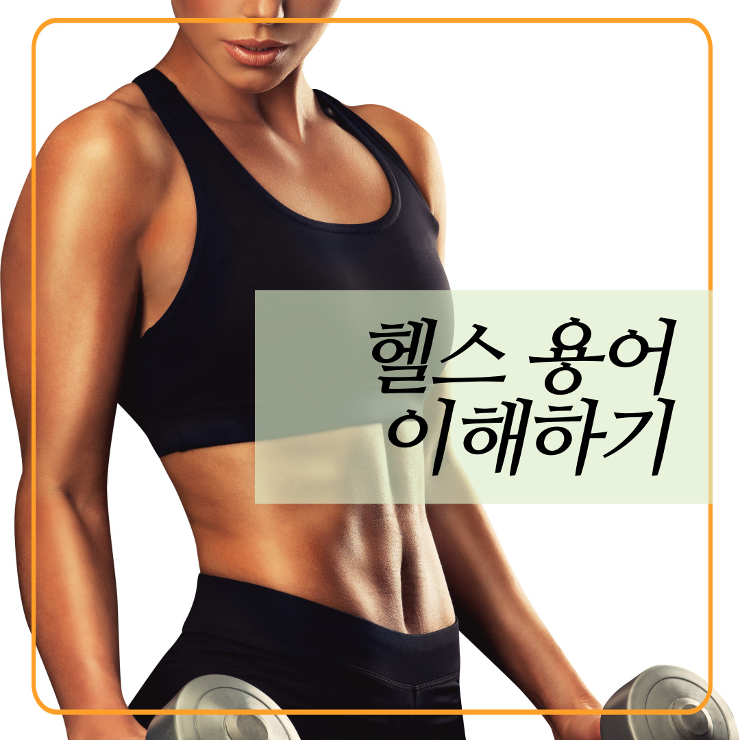 헬스용어