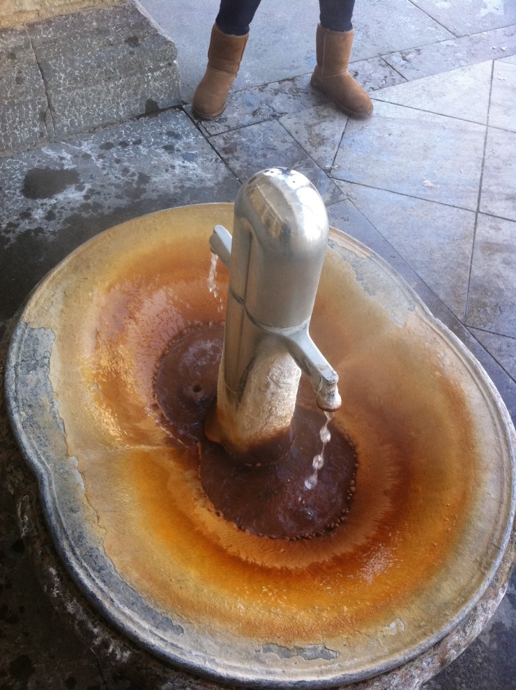 트르지니콜로나다