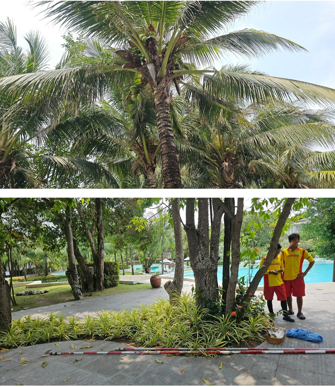 프리미어 빌리지 (이용시설/프로그램/조식 편)