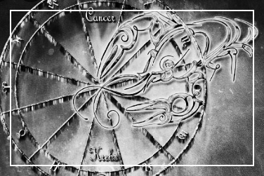 요한 결정은 직감