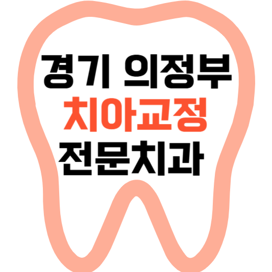 경기도 의정부시 치아교정 치과 잘하는 곳 전문 치과 추천 가격 비용.png