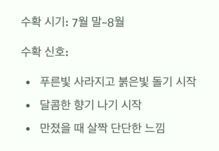 가장 달콤한 순간, 수확의 기쁨