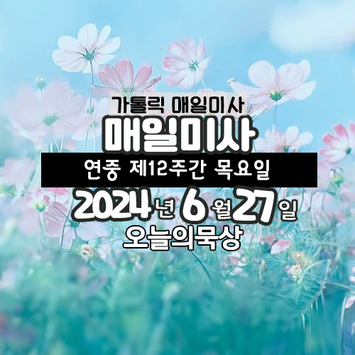 6월 27일 매일미사