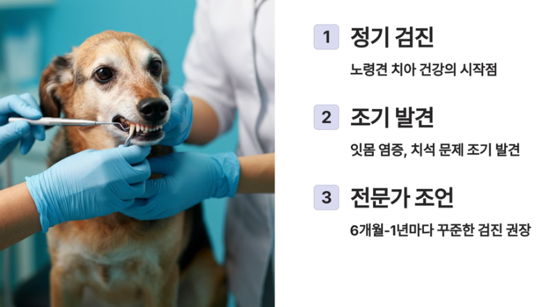 검진의 필요성