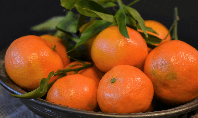 생방송오늘저녁 논산 황금향 택배 주문