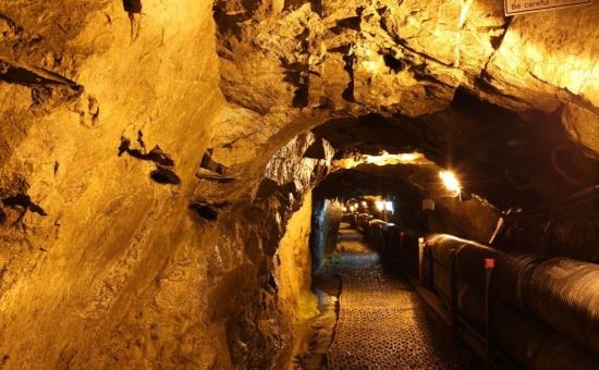 철원 평화전망대 모노레일 안보관광