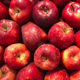 난청에 좋은 음식 영양제 식단