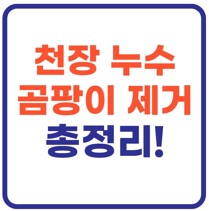 천장 누수 곰팡이 제거 총정리