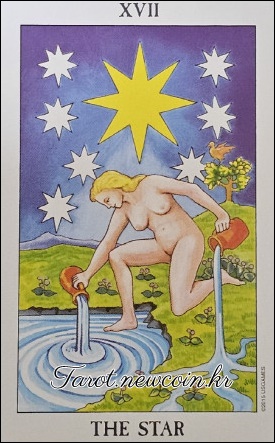 오늘의 타로 운세