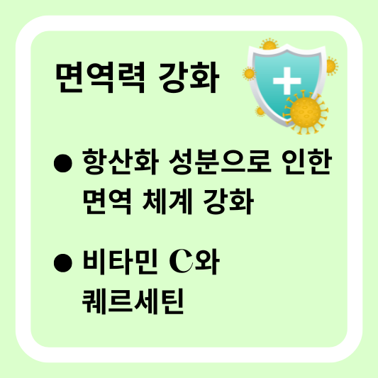 면역력 강화