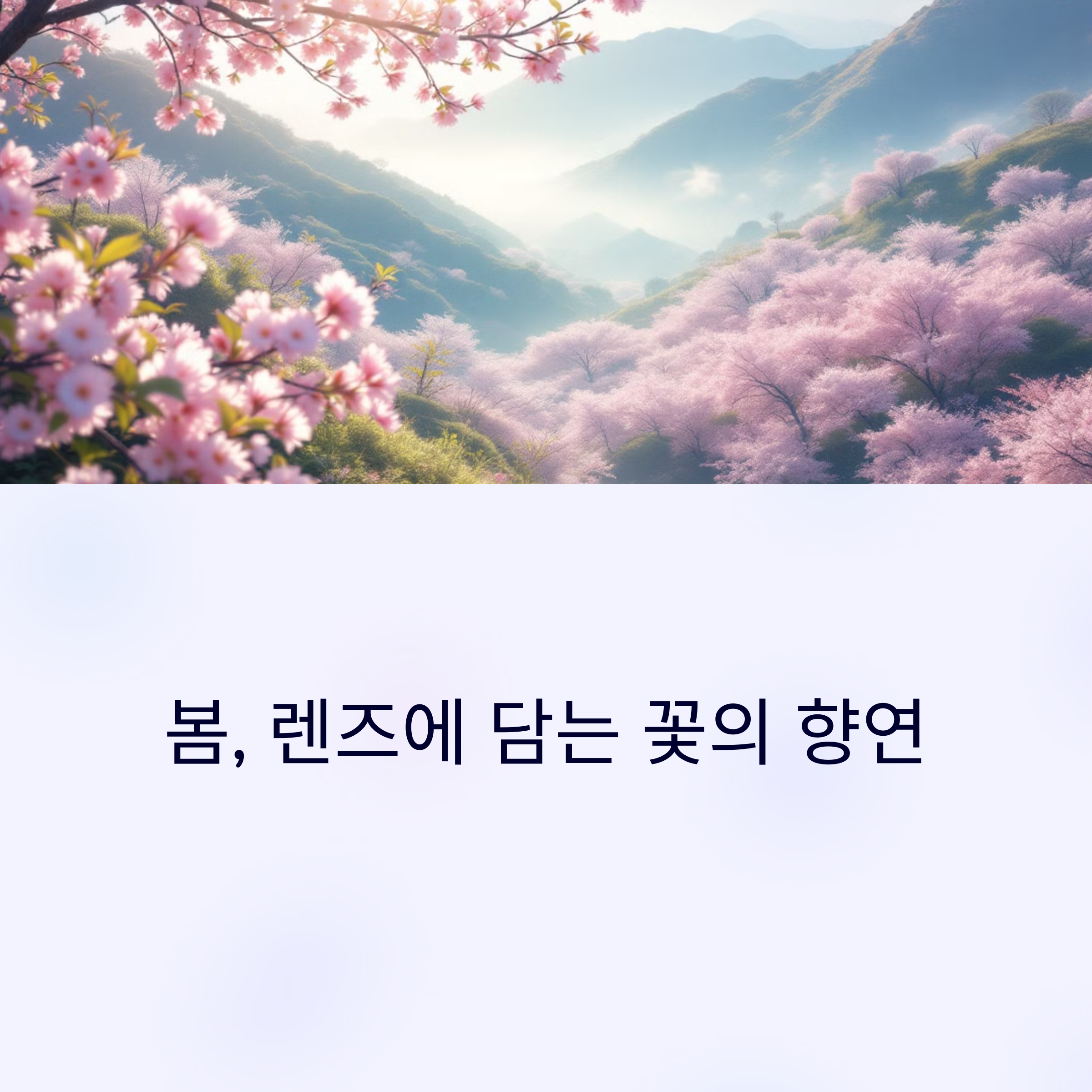 사진 찍기 좋은 봄꽃 명소 베스트 10