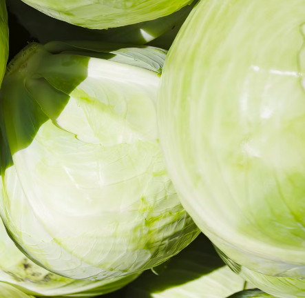 양배추 효능과 부작용 칼로리