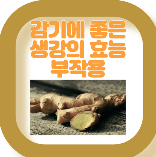 생강 효능