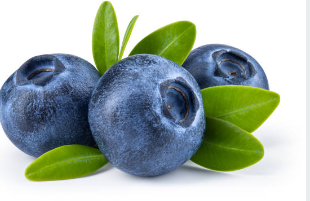 블루베리