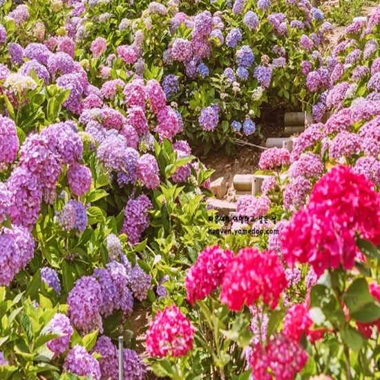 6월 여행하기 좋은곳