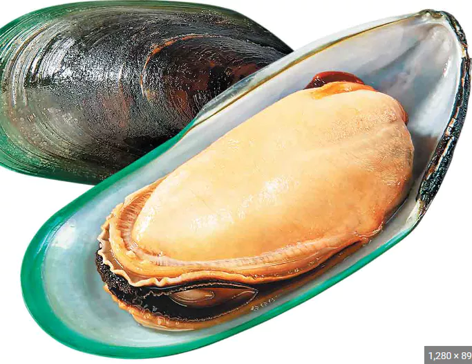 초록입홍합-효능-부작용-건강