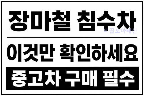 장마철 침수차 확인 방법