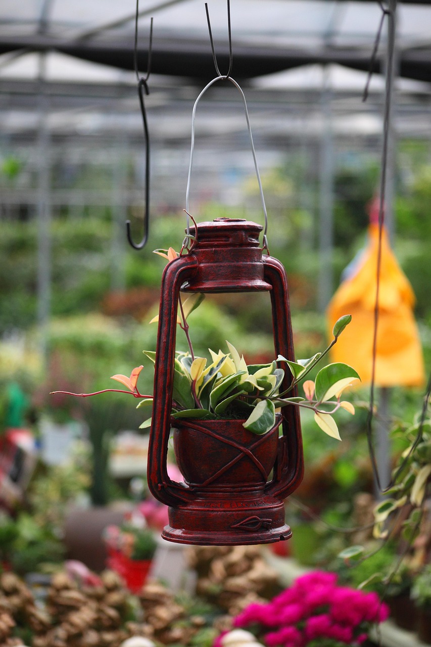 꽃시장 정보 관련 사진