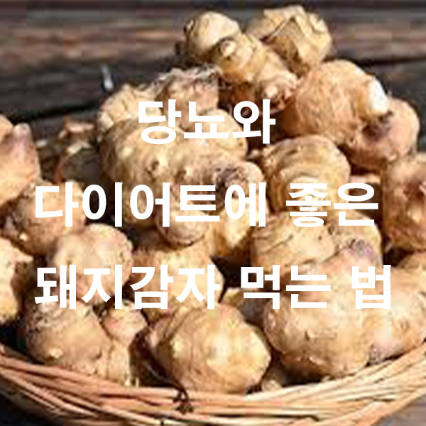 당뇨와 다이어트에 좋은 돼지감자 먹는 법