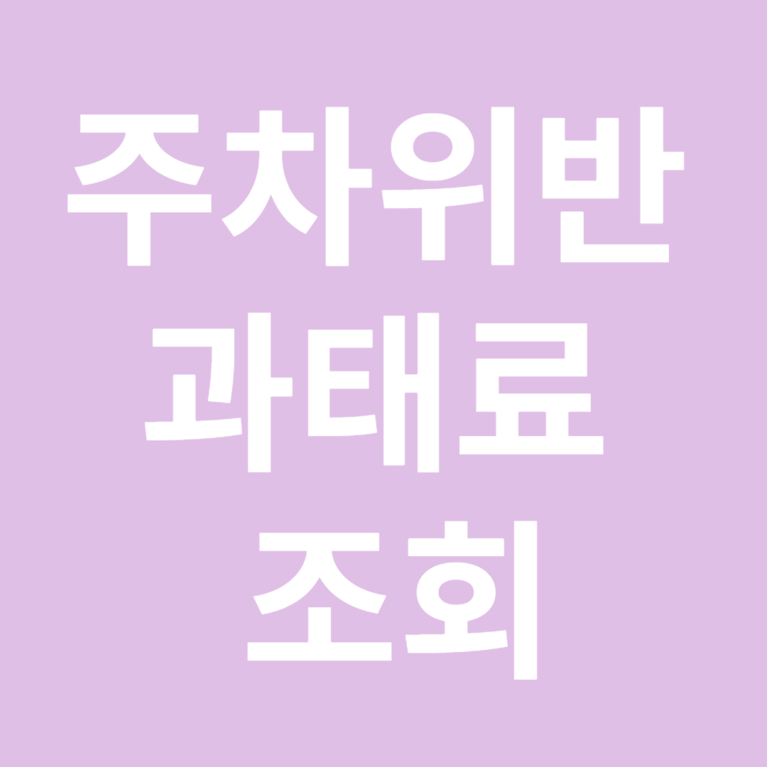 주차위반 과태료 조회