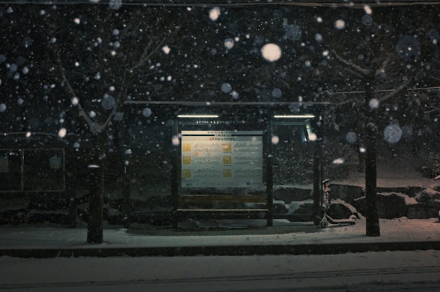 대설특보 비행기 결항 실시간 조회 환불 꿀팁