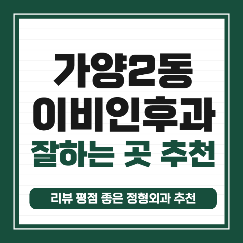 강서구 가양2동 이비인후과 귀지제거 감기 목 수액 독감 귀 진료 유명하고 잘하는 곳